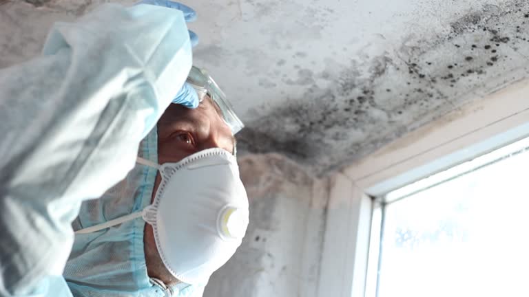 Best Commercial Mold Inspection  in Quinlan, TX